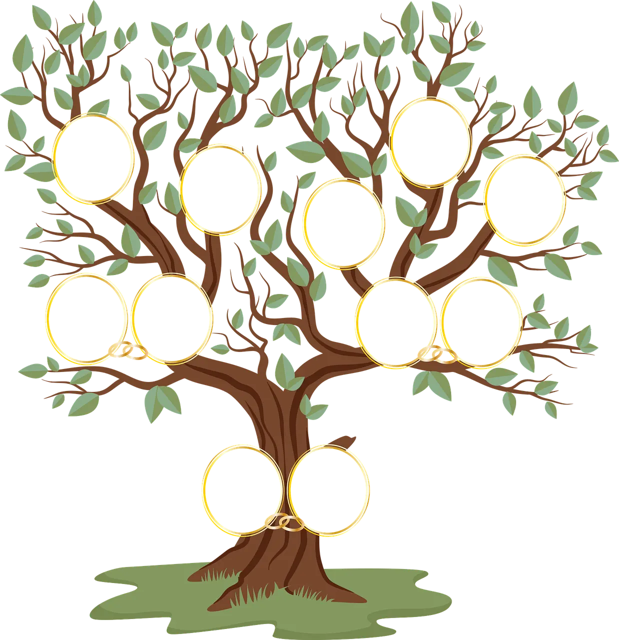 Psychogénéalogie : Décryptage des schémas familiaux inconscients